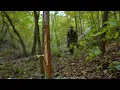 How to Find Deer Bedding Areas on a Map Midwest Whitetail