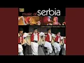 Download Lagu Sedam sati udara