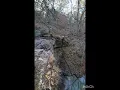Bingham Hollow Falls