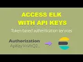 Token Based Authentication Using API Keys to access Elasticsearch