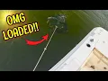 Download Lagu BEST CRAB POT EVER!! Crabbing at the Cabin (Catch \u0026 Cook Blue Crabs)