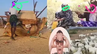 PART 1 WAXA LAWAAYAY HOYADEED IYADANA WAA DHIMATAY AYAA LOO SHEGAY HOYADEED IYO ABTI YASHEED  PART 1 WAXA LAWAAYAY HOYADEED IYADANA WAA DHIMATAY AYAA LOO SHEGAY HOYADEED IYO ABTI YASHEED