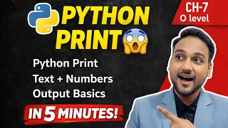 Python Print in 5 Minutes Print Text Numbers Output Beginner Guide