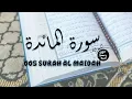 005 Surah Al Maidah with English translation - Quran Recitation #quran #qurantranslation