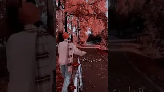 انا هبسط نفسي بنفسي 