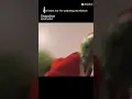 The Grinch gyatt
