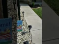 New landscaping with rubber mulch