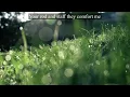 Psalm 23: Your Goodness Will Follow Me (Based on Psalm 23)
