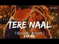 Tere Naal (Slowed +Reverb) lo-fi { music boys..786}