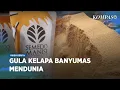 Download Lagu Geliat Produksi Gula Kelapa Semut di Semedo Banyumas