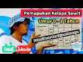 Download Lagu Pemupukan Kelapa Sawit Umur 0 - 1 Tahun