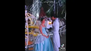 في نصيب وبيتشال لينا 