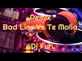 DJ TE MOLLA VS BAD LIAR Remix Tik Tok