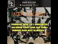 Download Lagu 🔴INAP KOLONI 47 KILO