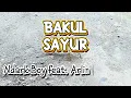 Ndark Boy Feat. Arlinda putri - Bakul Sayur - Lirik