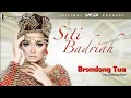 Lagu Siti Badriah - Brondong Tua (Video Music HD) | [Video Mix]