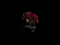 broken - THEY ft. jessie reyez (legendado)