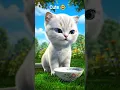 du du piyenge 😸😎 cute cat #youtubeshorts #cat #shortvideo