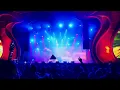Whethan - Hurting On Purpose Electric Forest 2022 (06/24)