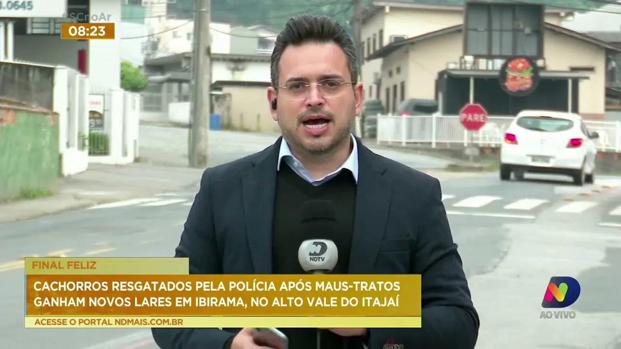 Cachorros resgatados pela Polícia após maus-tratos ganham novos lares em Ibirama