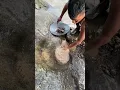 wow!!! so much gold found in the napal hole.