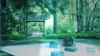 ارفع صوت الموسيقى وغادر العالم اجمل موسيقى خياليه ستسمعها  ارفع صوت الموسيقى وغادر العالم اجمل موسيقى خياليه ستسمعها