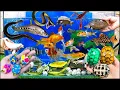 Download Lagu De ongelooflijke vangst van kleurrijke aquariumvissen in een kleine vijver: koi, babyschildpadden...