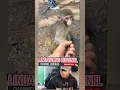 Download Lagu Hiburan warga 62 video lucu bikin ngakak sakit perut meme lucu tahan tawa funny video #shorts #funny