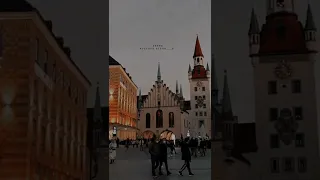 هذا هية الحياة شئت ام ابيت 