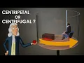 What is Centripetal force