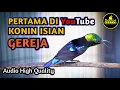 Download Lagu KONIN ISIAN GEREJA TARUNG GACOR TEMBAKAN KASAR COCOK UNTUK MASTERAN KOLIBRI NINJA BAHAN DAN MURAI
