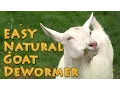 At Home Natural Goat DeWormer Goat Basics 101
