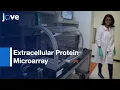 Extracellular Protein Microarray to Detect Receptor-Ligand Interaction Protocol