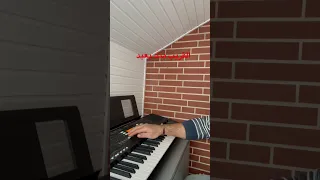 عزف اورغ القريب منك بعيد نجاة الصغيرة 