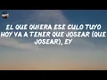 Feid ~ CHORRITO PA LAS ANIMAS (Lyrics)