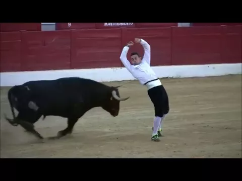 Melhores dribles de Touros Espanha
