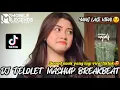 Lagu DJ TELOLET MASHUP BREAKBEAT TERBARU VIRAL TIKTOK TERBARU 2022
