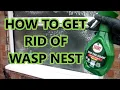 Download Lagu HOE JE OP EEN NATUURLIJKE MANIER VAN EEN WESPENNESTER AFKOMT ZONDER ZE TE DODEN | DE VEILIGSTE MA...