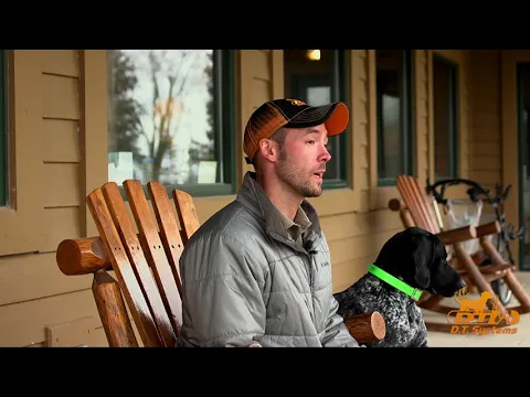 Best ways to feed a hunting dog
