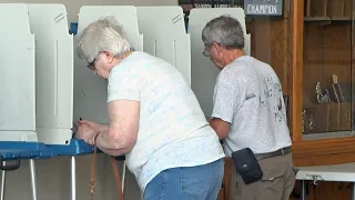 Minnesota Sees Record Turnout for a Primary Election Lakeland News