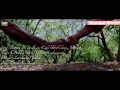 Download Lagu Tumhein Dil Se Kaise Juda Full HD ((Eagle Jhankar)) Dheeraj