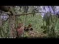 Download Lagu 2017/07/16 16h04m ~Betins and Betina deliver frogs~