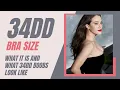 34DD Bra Size What It Is and What 34DD Breasts Look Like