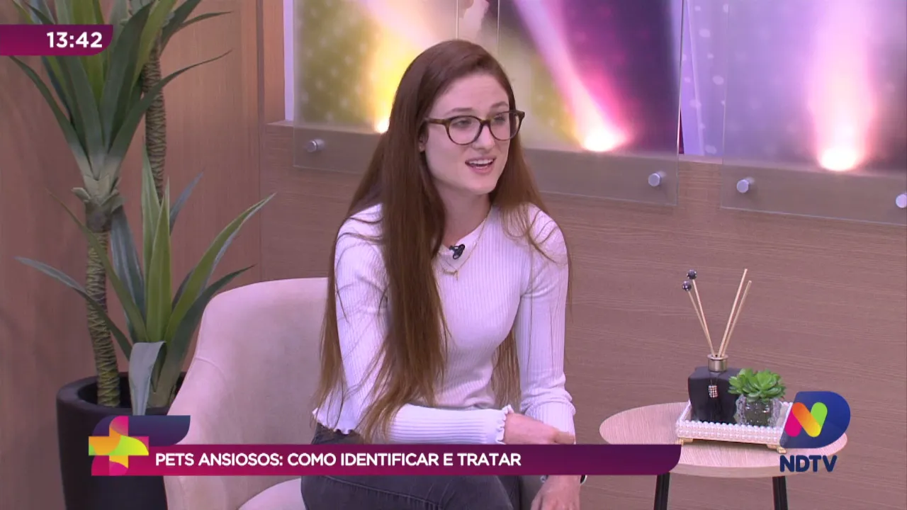 Pet News: veja como identificar e tratar a ansiedade nos animais