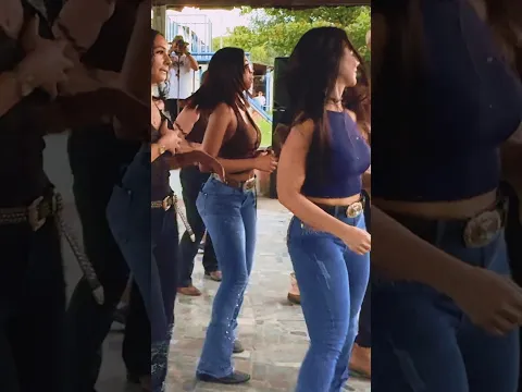 Vai matar papai #dance #forro #shorts