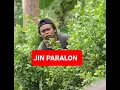 Lagu JIN PARALON ‼️‼️‼️