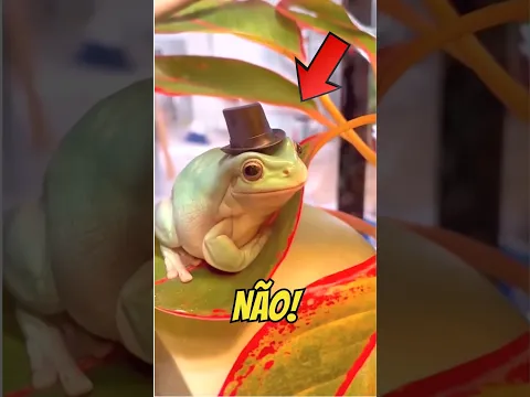 NUNCA cutuque a BARRIGA dessa PERERECA! 😱