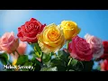 Download Lagu For three months I listened only to this music🌺Music for the soul🌿Sergey Grischuk #2