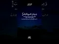 Surah Al-Falak Peaceful Recitation by Tareq Mohammad قُلۡ اَعُوۡذُ١#theivc #islam #quran #surahfalak