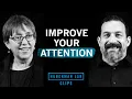 How to Improve Your Attention Focus Dr Jennifer Groh Dr Andrew Huberman
